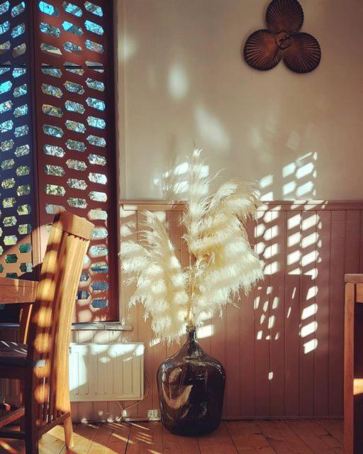 Maison Bellefleur B&B - Pension Renesse Εξωτερικό φωτογραφία