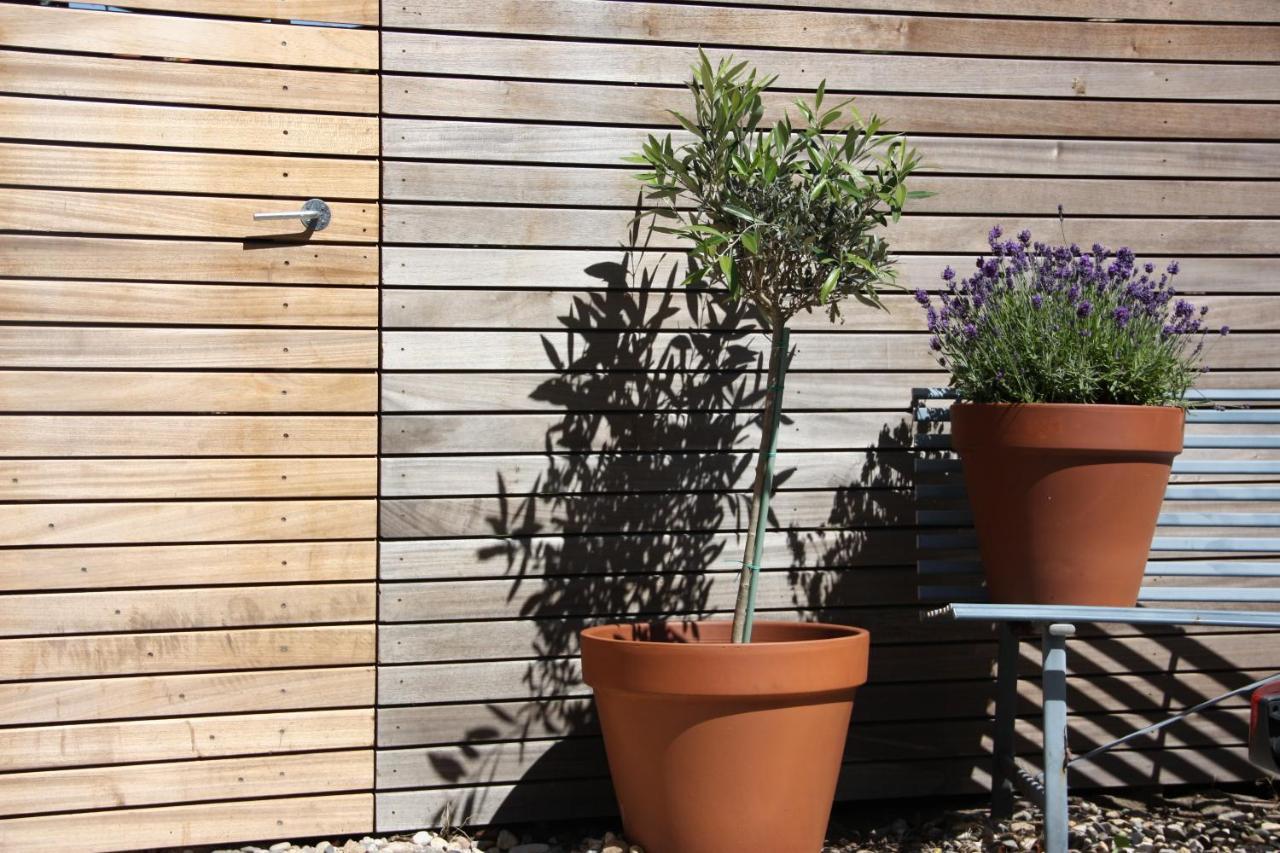 Maison Bellefleur B&B - Pension Renesse Εξωτερικό φωτογραφία
