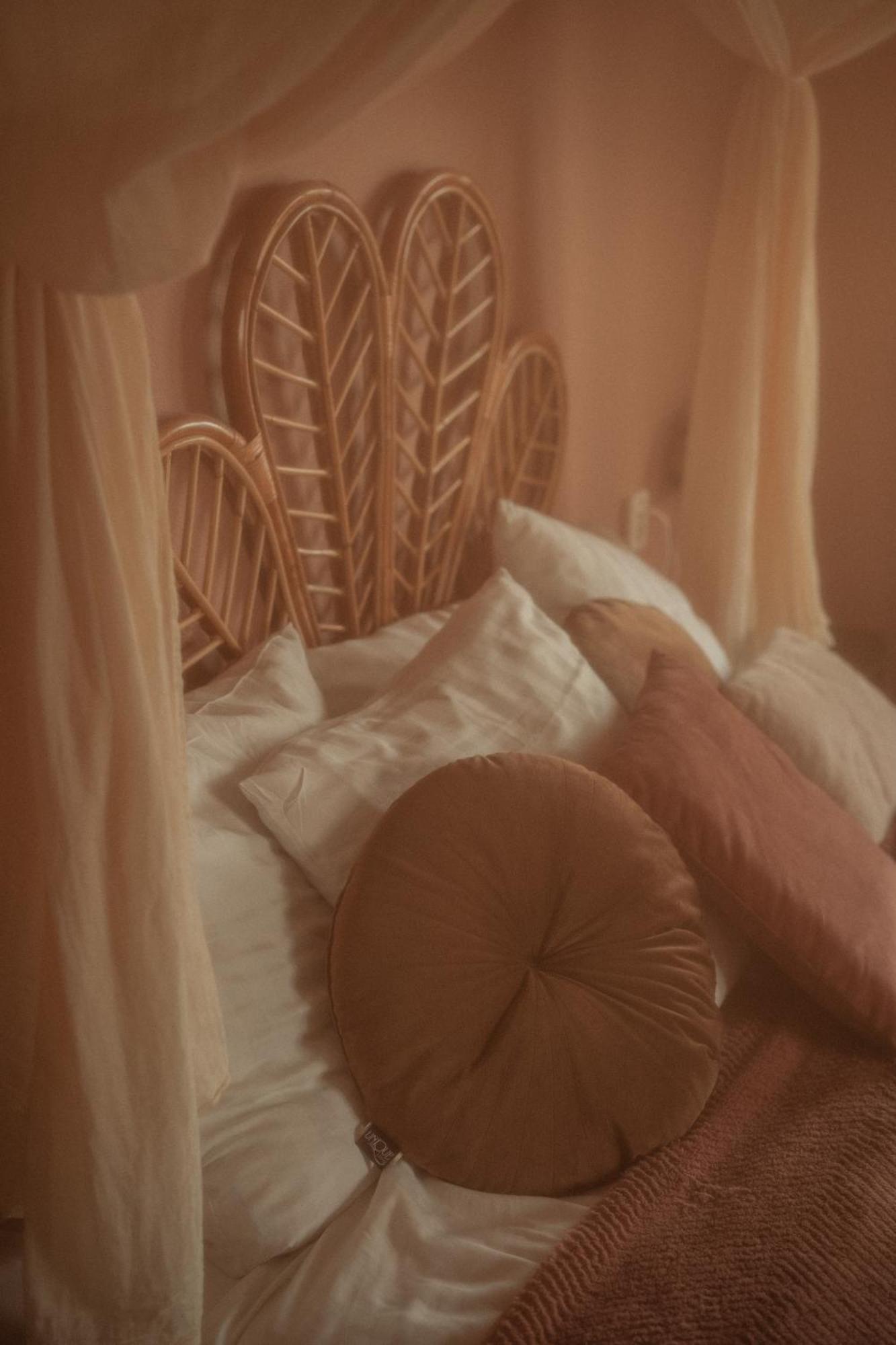 Maison Bellefleur B&B - Pension Renesse Εξωτερικό φωτογραφία