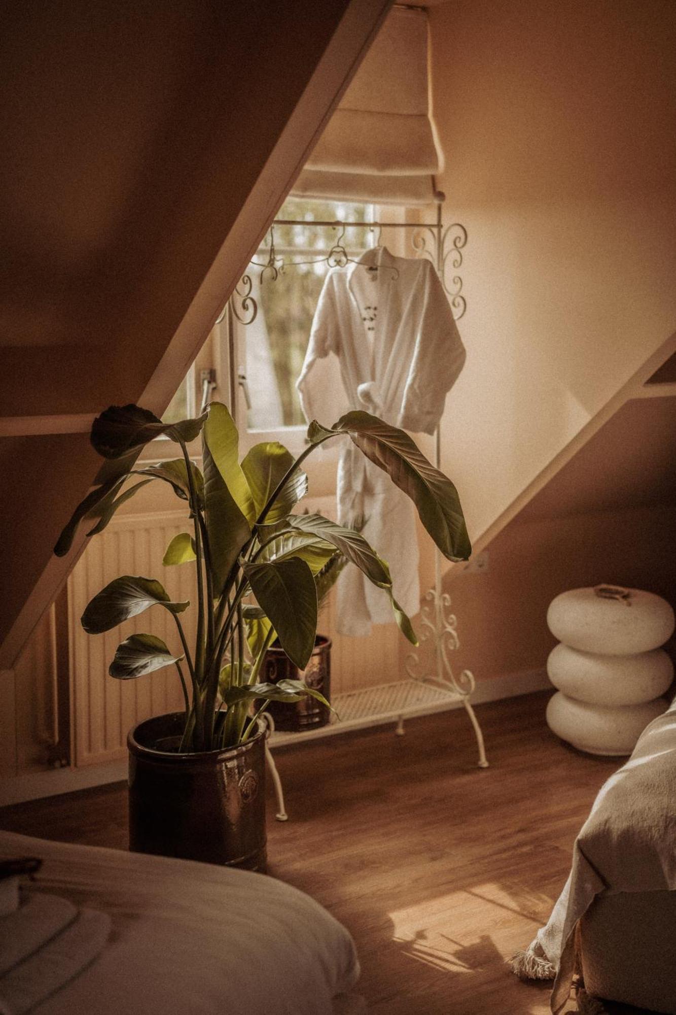 Maison Bellefleur B&B - Pension Renesse Εξωτερικό φωτογραφία